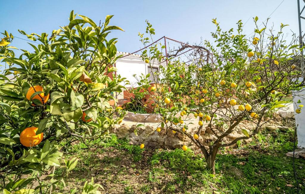 Casa Rural Antonio Y Esperanza Periana Екстер'єр фото