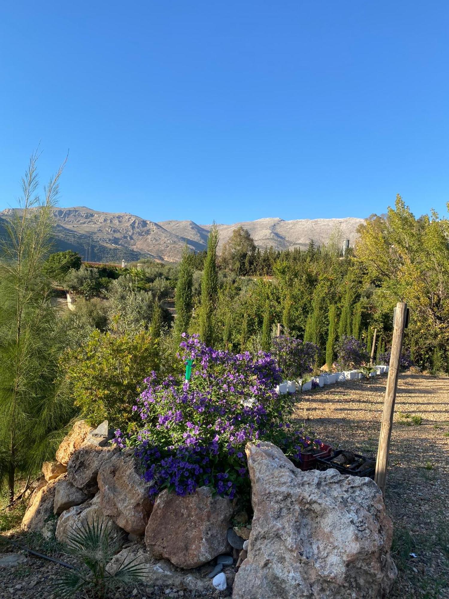 Casa Rural Antonio Y Esperanza Periana Екстер'єр фото