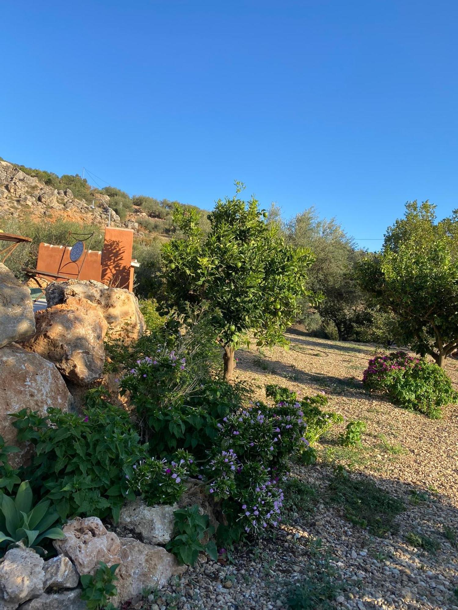 Casa Rural Antonio Y Esperanza Periana Екстер'єр фото